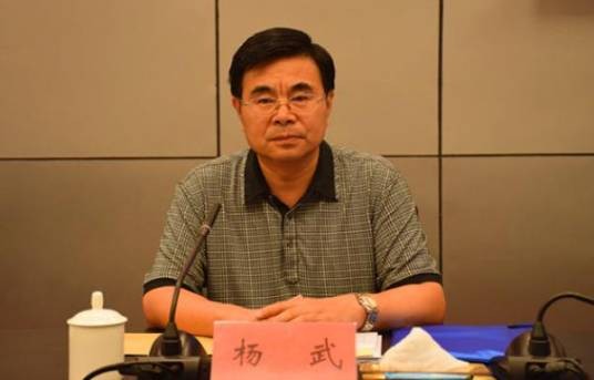 杨武（安徽省卫生和计划生育委员会原巡视员）