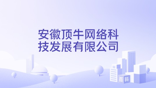 安徽顶牛网络科技发展有限公司
