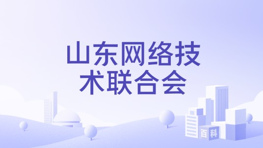 山东网络技术联合会