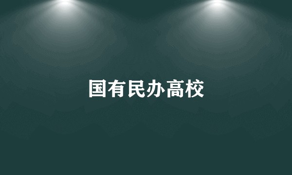 国有民办高校