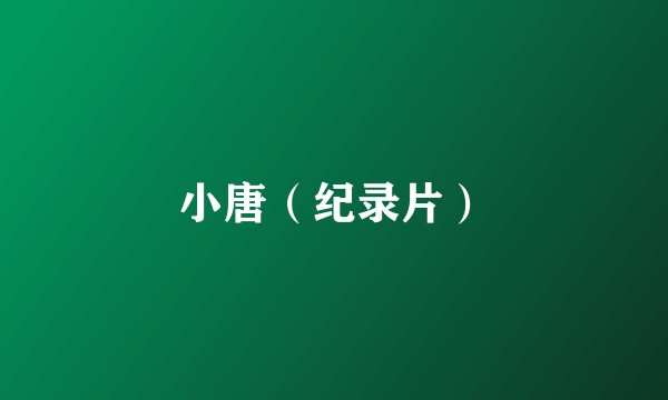 小唐（纪录片）