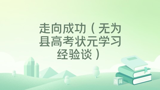 走向成功（无为县高考状元学习经验谈）