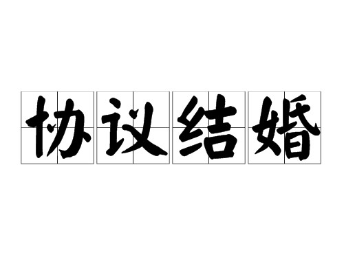 协议结婚（法学领域术语）