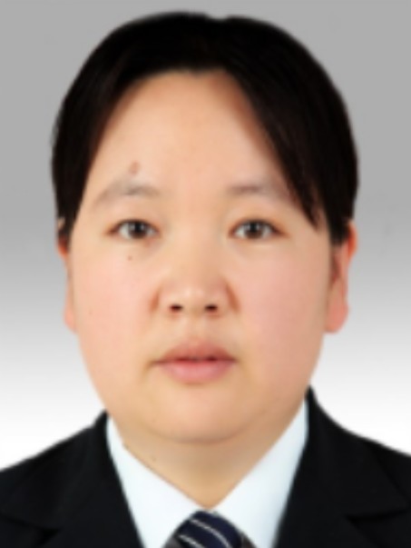 耿燕（山东省新泰市谷里镇党委书记）