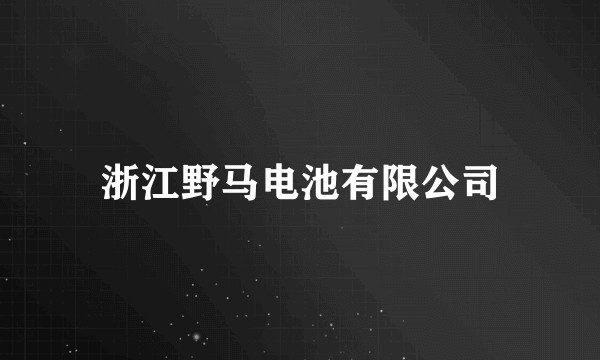 浙江野马电池有限公司