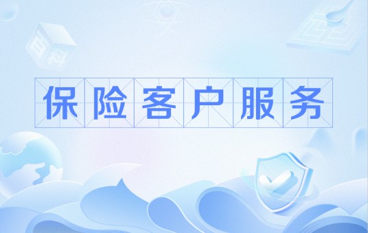 保险客户服务（保险公司提供的客户服务）