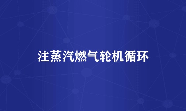 注蒸汽燃气轮机循环