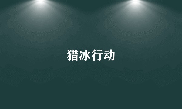 猎冰行动