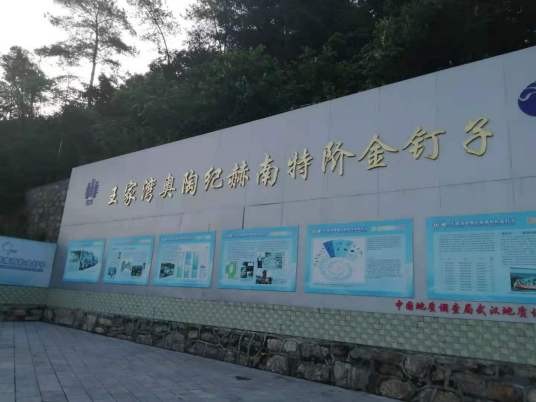 王家湾金钉子