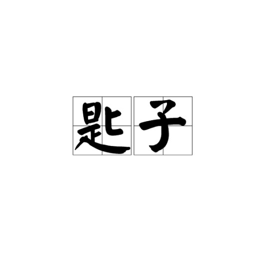 匙子