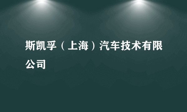 斯凯孚（上海）汽车技术有限公司