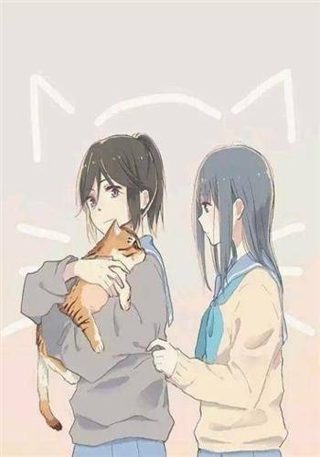 橘色的开发日记