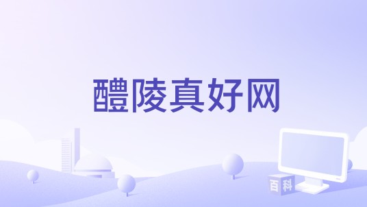 醴陵真好网