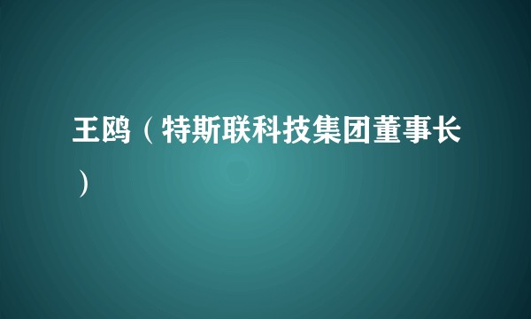 王鸥（特斯联科技集团董事长）
