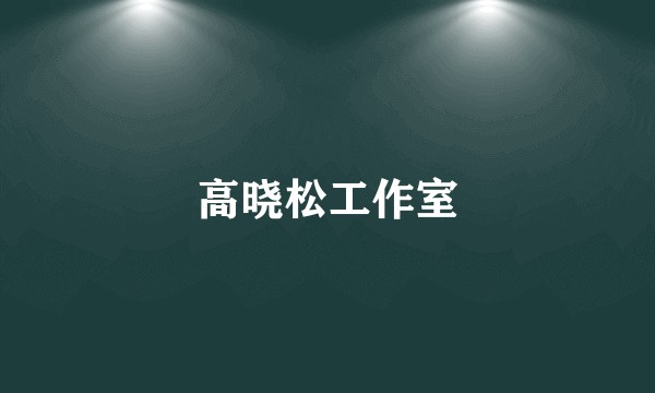 高晓松工作室