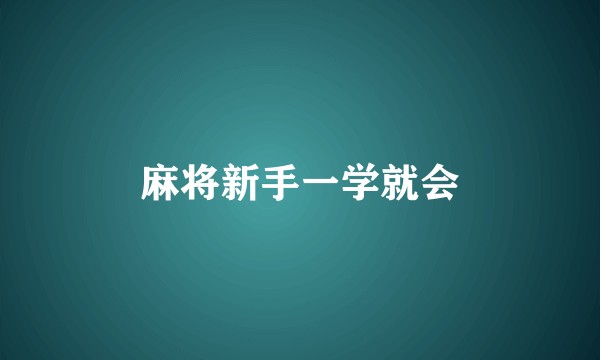 麻将新手一学就会