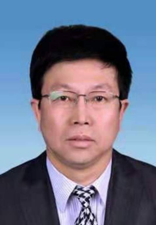 高苗（榆林市吴堡县委副书记、县长）