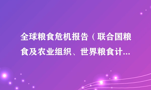 全球粮食危机报告（联合国粮食及农业组织、世界粮食计划署等机构共同发布的年度报告）
