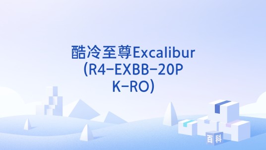 酷冷至尊Excalibur(R4-EXBB-20PK-RO)