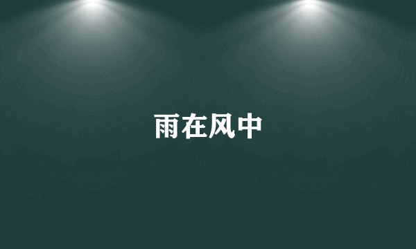 雨在风中