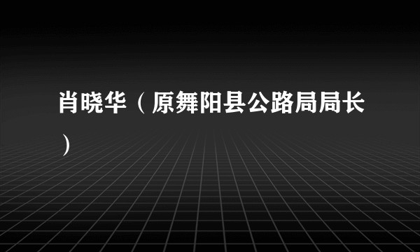 肖晓华（原舞阳县公路局局长）