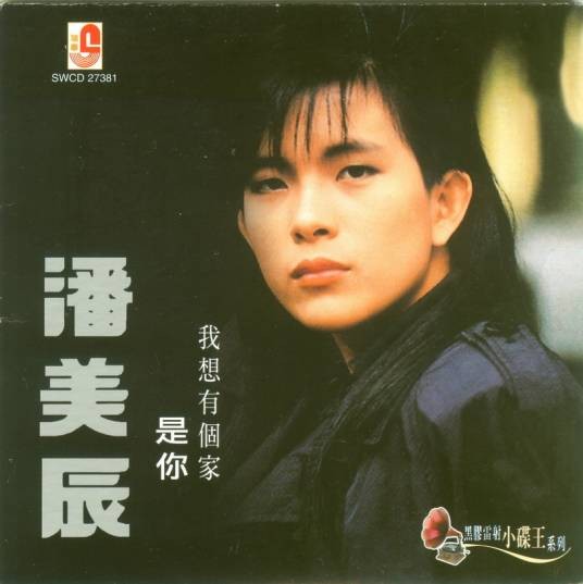 我想有个家（1989年潘美辰演唱歌曲）