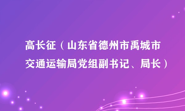 高长征（山东省德州市禹城市交通运输局党组副书记、局长）
