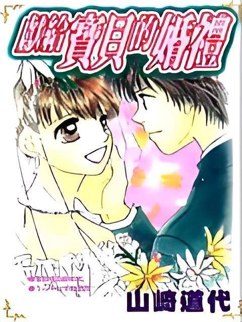 献给宝贝的婚礼