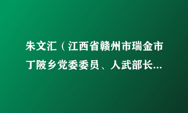 朱文汇（江西省赣州市瑞金市丁陂乡党委委员、人武部长、宣传委员）