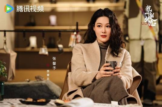 李青衣（电视剧《我叫赵出息》中的角色）