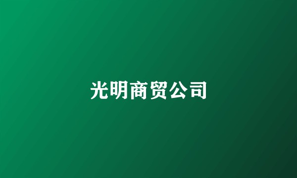 光明商贸公司
