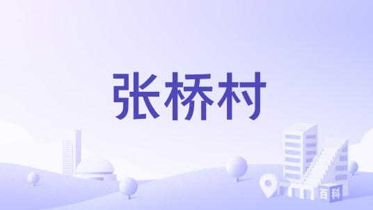 张桥村（陕西省渭南市华州区柳枝镇下辖村）