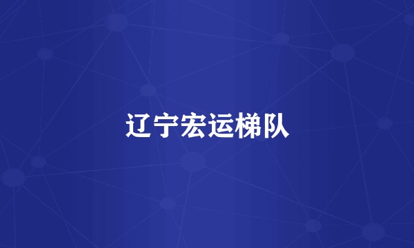 辽宁宏运梯队