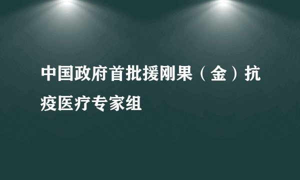 中国政府首批援刚果（金）抗疫医疗专家组