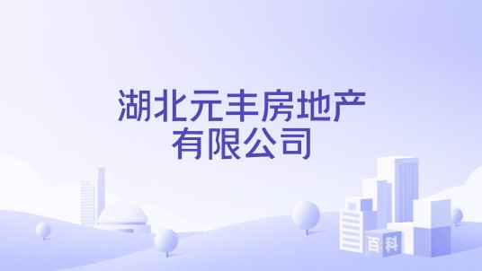 湖北元丰房地产有限公司