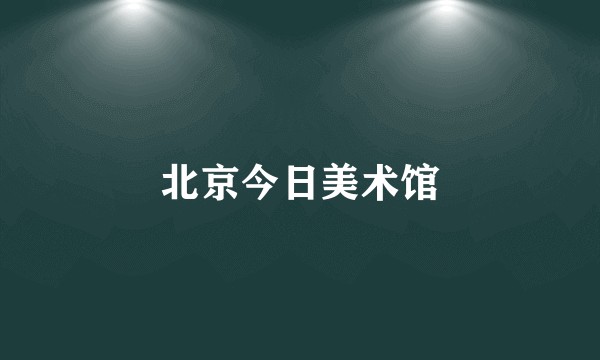 北京今日美术馆