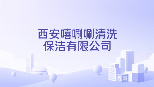 西安嘻唰唰清洗保洁有限公司