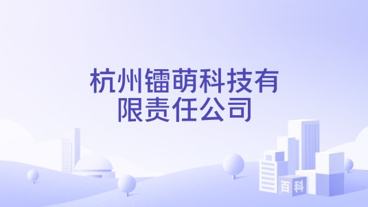 杭州镭萌科技有限责任公司