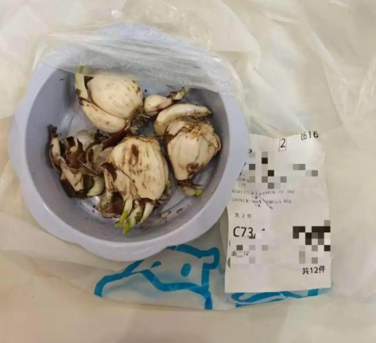 1·2北京盒马误将百合发成水仙事件