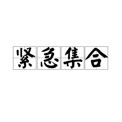 紧急集合（应对突然情况的紧急行动）