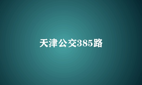 天津公交385路
