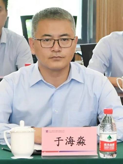 于海淼（国投电力控股股份有限公司总经理）