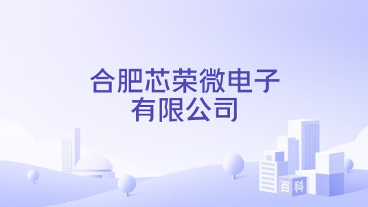 合肥芯荣微电子有限公司