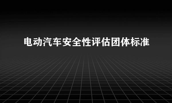 电动汽车安全性评估团体标准
