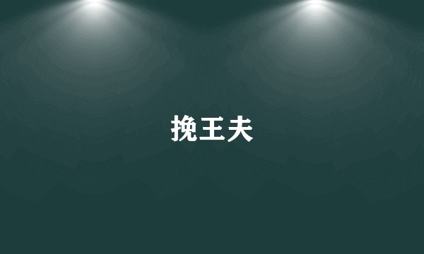 挽王夫
