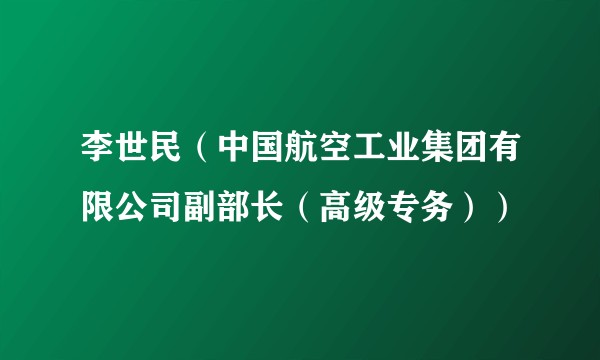 李世民（中国航空工业集团有限公司副部长（高级专务））
