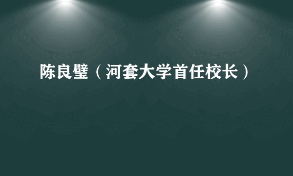 陈良璧（河套大学首任校长）