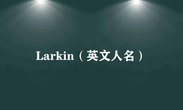 Larkin（英文人名）