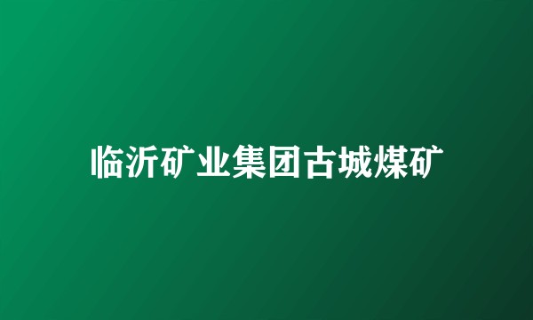 临沂矿业集团古城煤矿