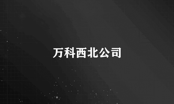 万科西北公司